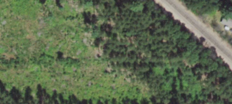 Stevens Point, WI 54481