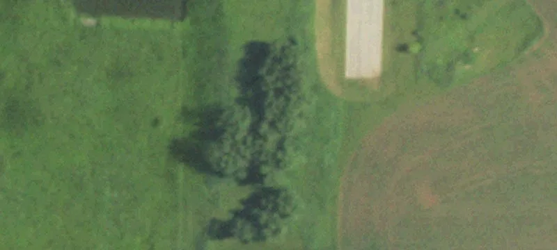 Arlington, WI 53911