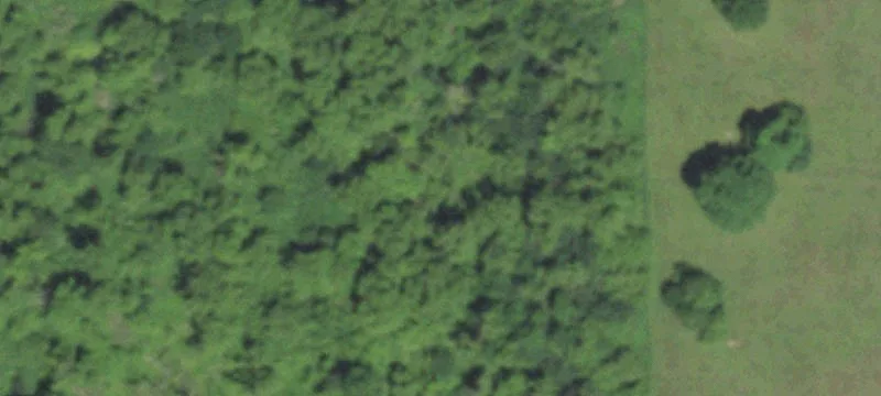 Tigerton, WI 54486