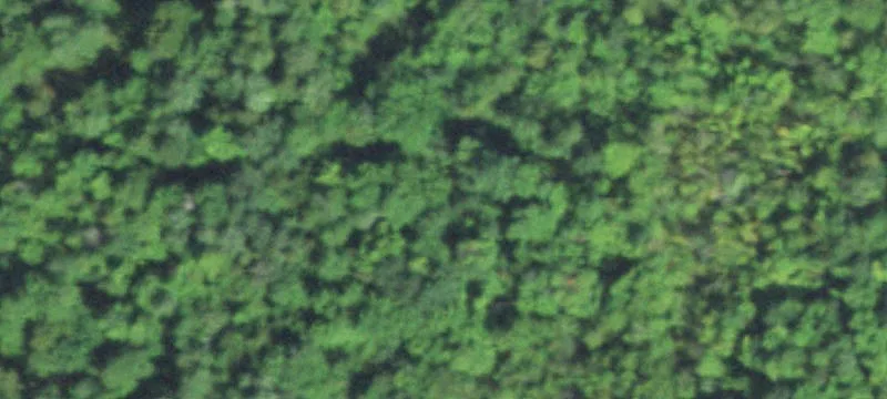 25344 273Rd St