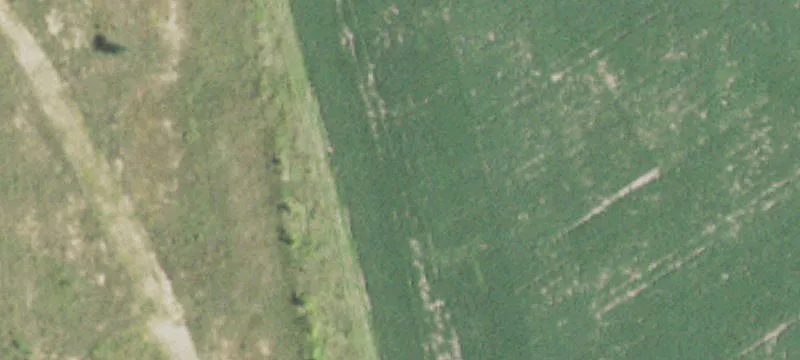 Hixton, WI 54635