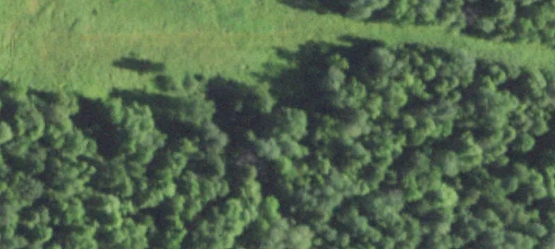 Weyerhaeuser, WI 54895