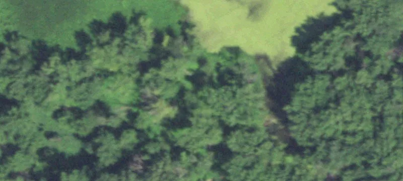 3547th Cottonwood Trl