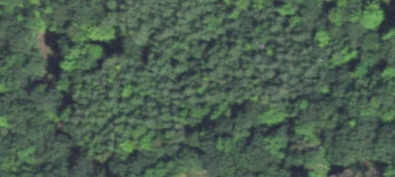 Holcombe, WI 54745