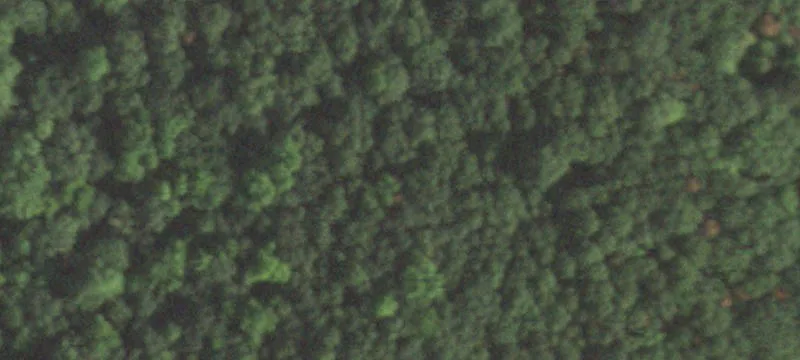 New Auburn, WI 54757