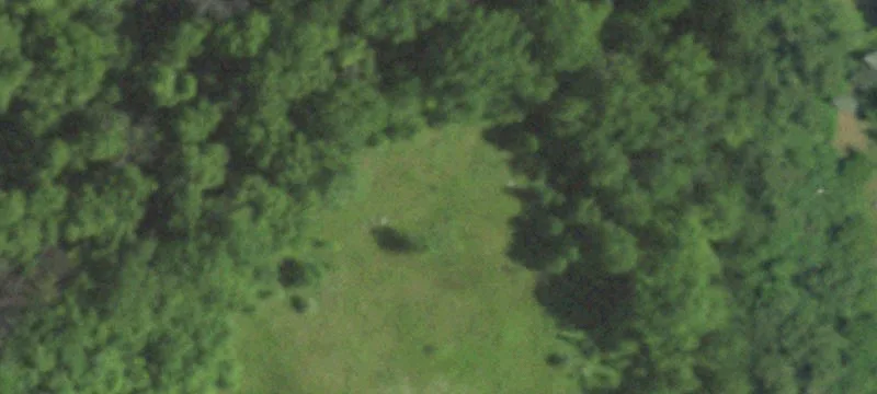921 Raasch Hl Rd