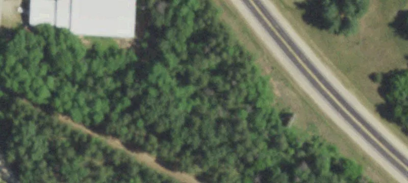 33103 Timber Ln