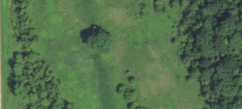 Viola, WI 54664