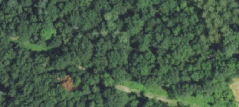 Independence, WI 54747