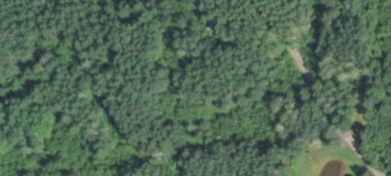 6780 State Rd 13