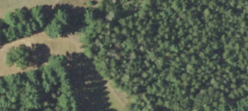 Neshkoro, WI 54960
