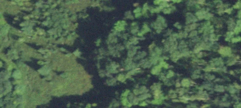 Bloomer, WI 54724