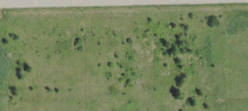 Daggett Dr