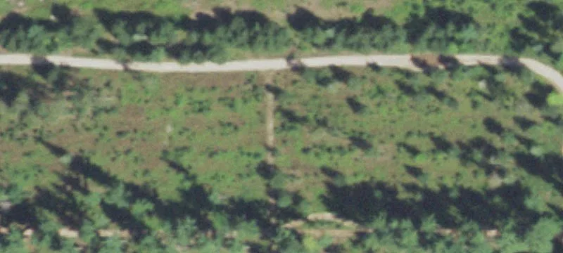 Osseo, WI 54758