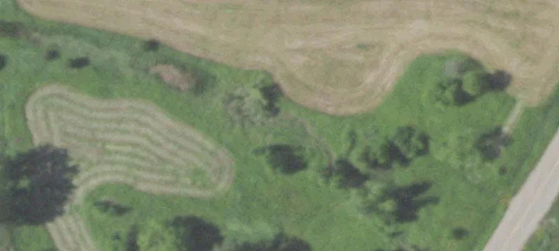 Packerland Dr