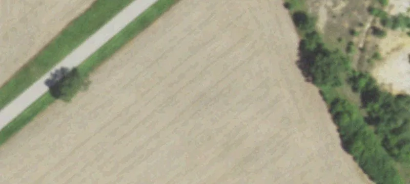 Koro Rd