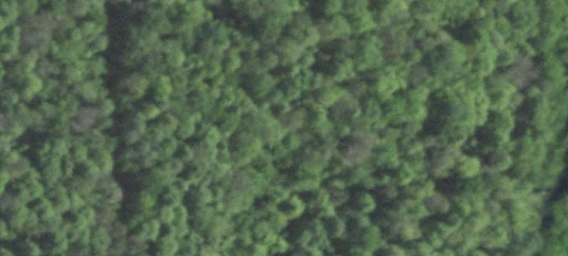 Wabeno, WI 54566