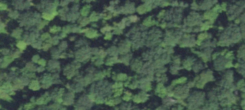 Holcombe, WI 54745