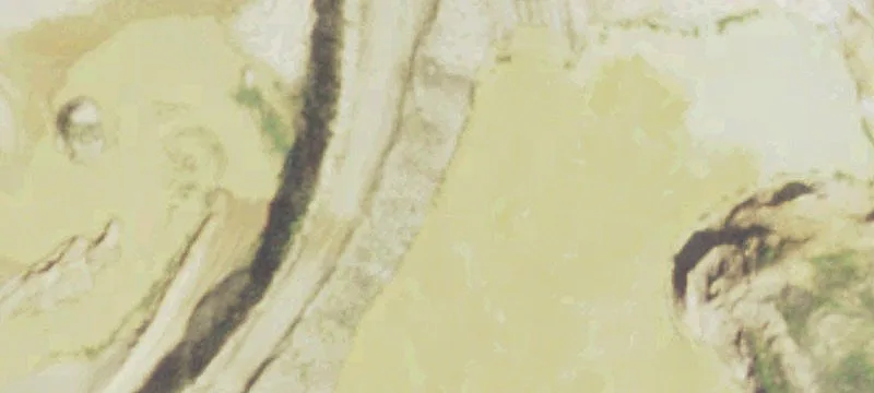 Taylor, WI 54659
