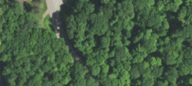 Pickerel, WI 54465