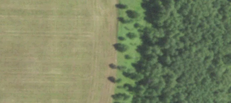 Wabeno, WI 54566