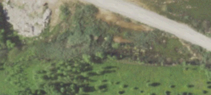 1491 Yurek Rd