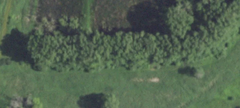 Oakridge Rd