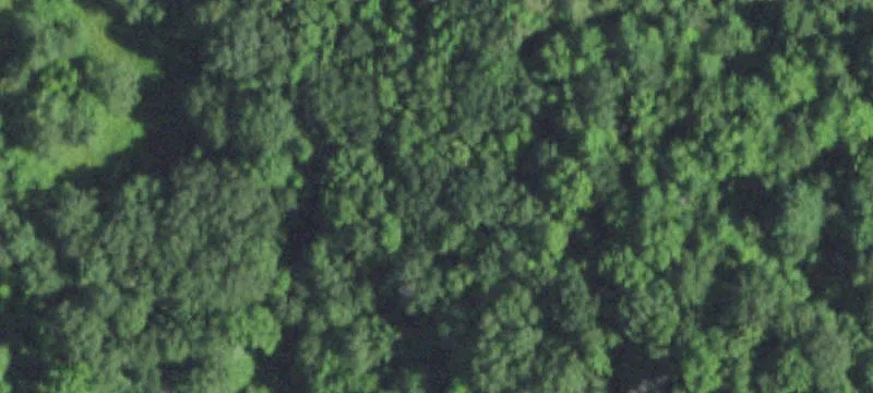 New Auburn, WI 54757