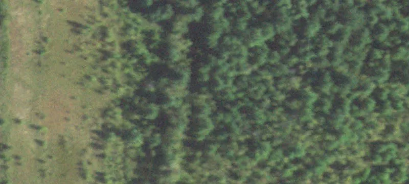 Jim Falls, WI 54748