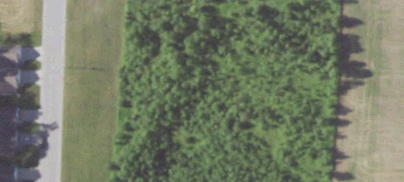 Seymour, WI 54165