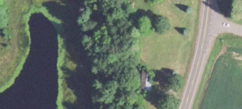 Bruce, WI 54819