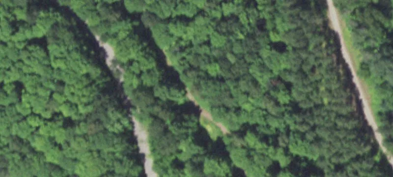 Laona, WI 54541