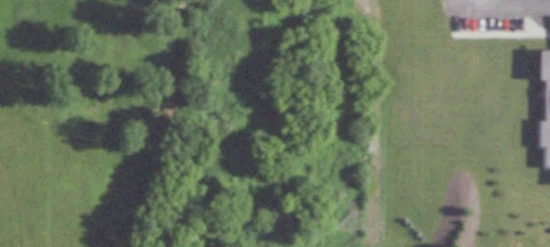Mcmahon Dr