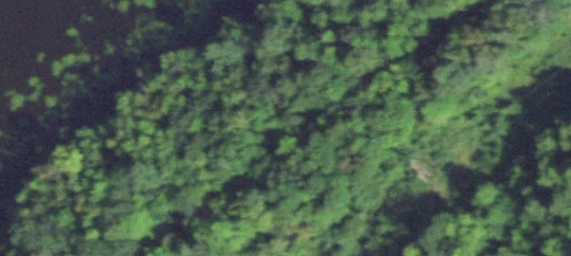 Jim Falls, WI 54748
