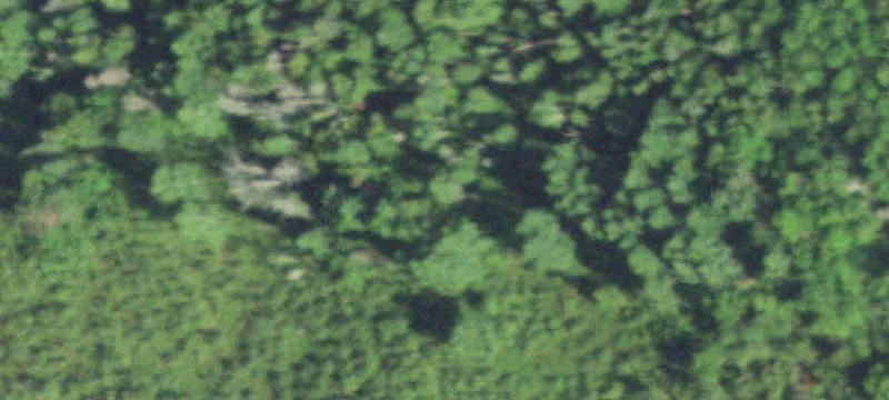 Bloomer, WI 54724