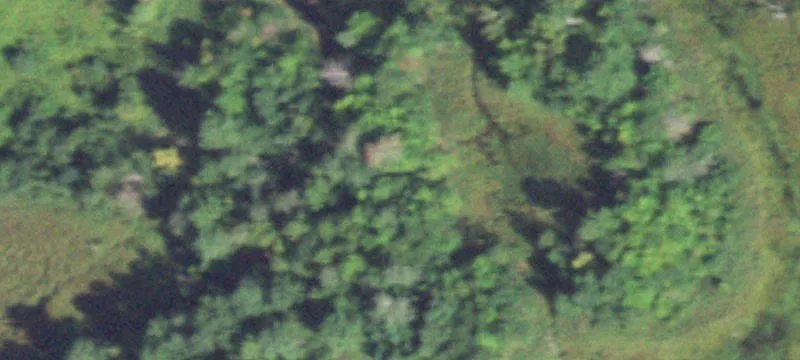 Jim Falls, WI 54748