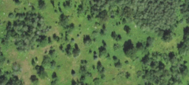Crandon, WI 54520