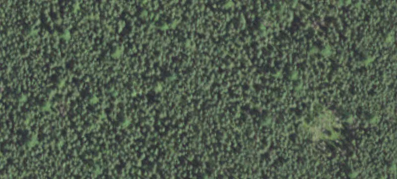 Holcombe, WI 54745