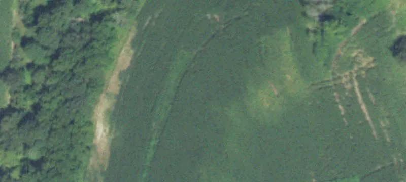 Mondovi, WI 54755