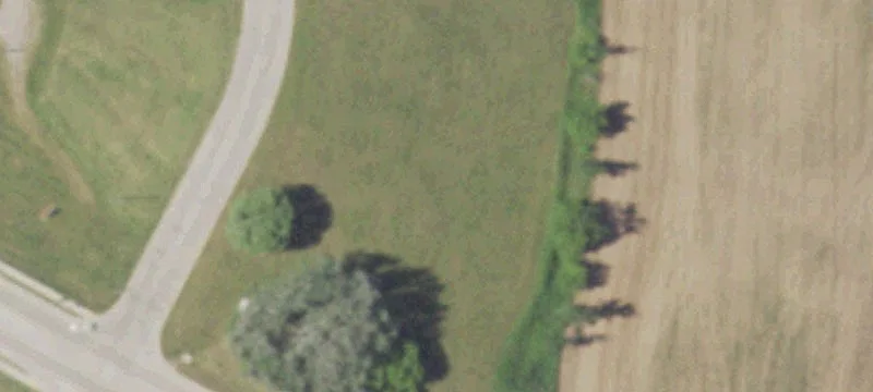 Longwood Ln