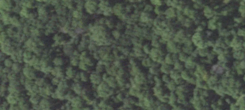 Nekoosa, WI 54457