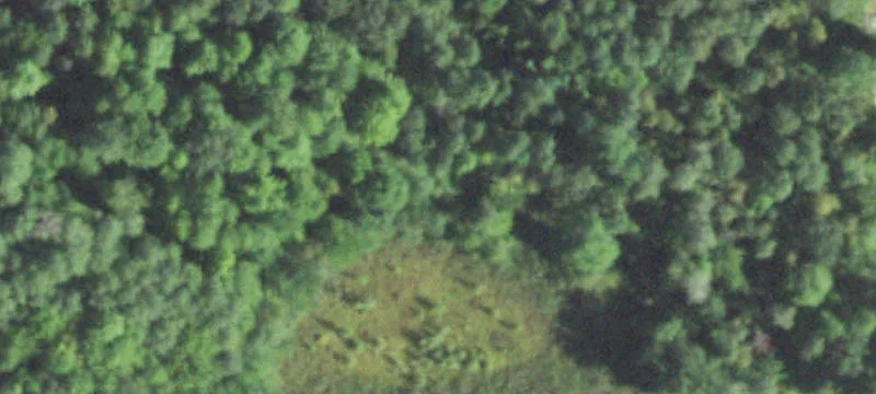 Holcombe, WI 54745