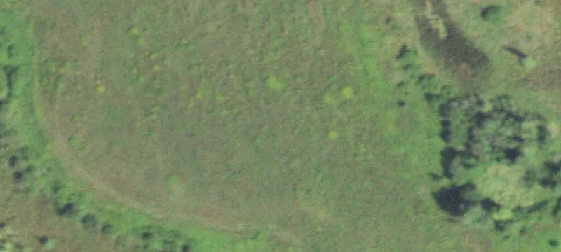Jim Falls, WI 54748
