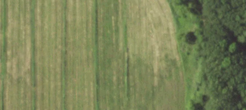 Gillett, WI 54124