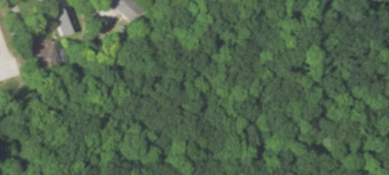 Smt Woods Ln