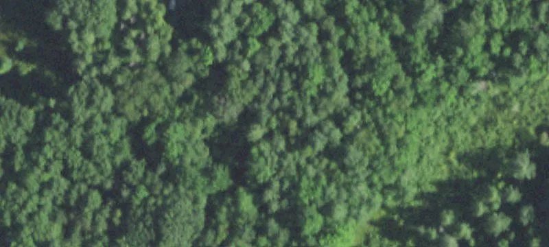 Weyerhaeuser, WI 54895