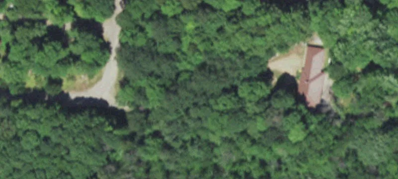 Rosa Rd