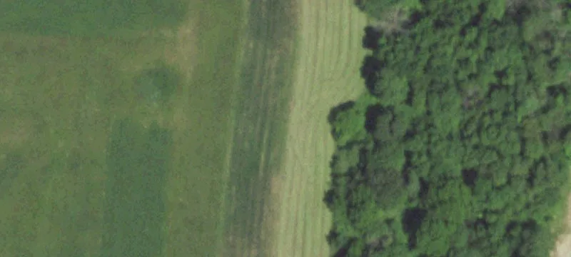 Soldiers Grove, WI 54655