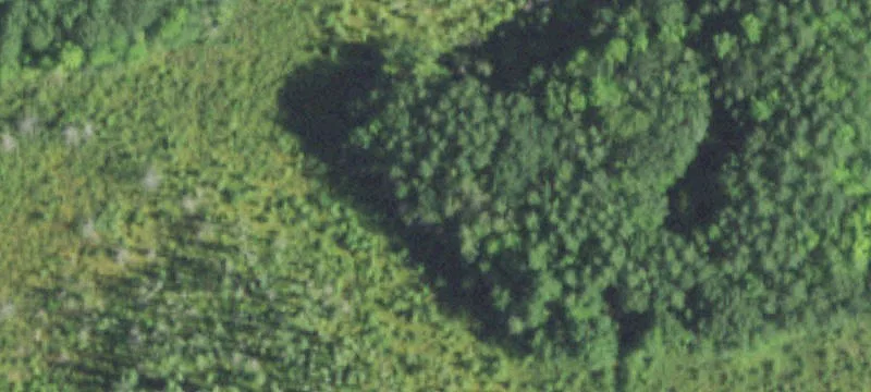 Weyerhaeuser, WI 54895
