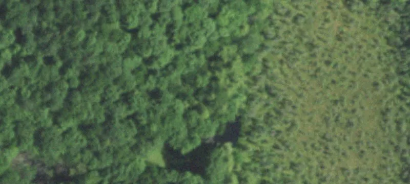 Pickerel, WI 54465